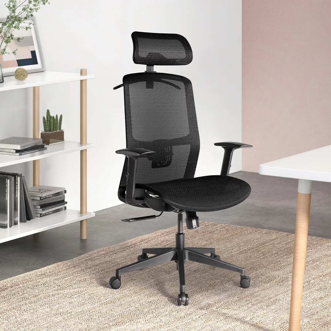Desky Adjustable High Back Mesh Chair