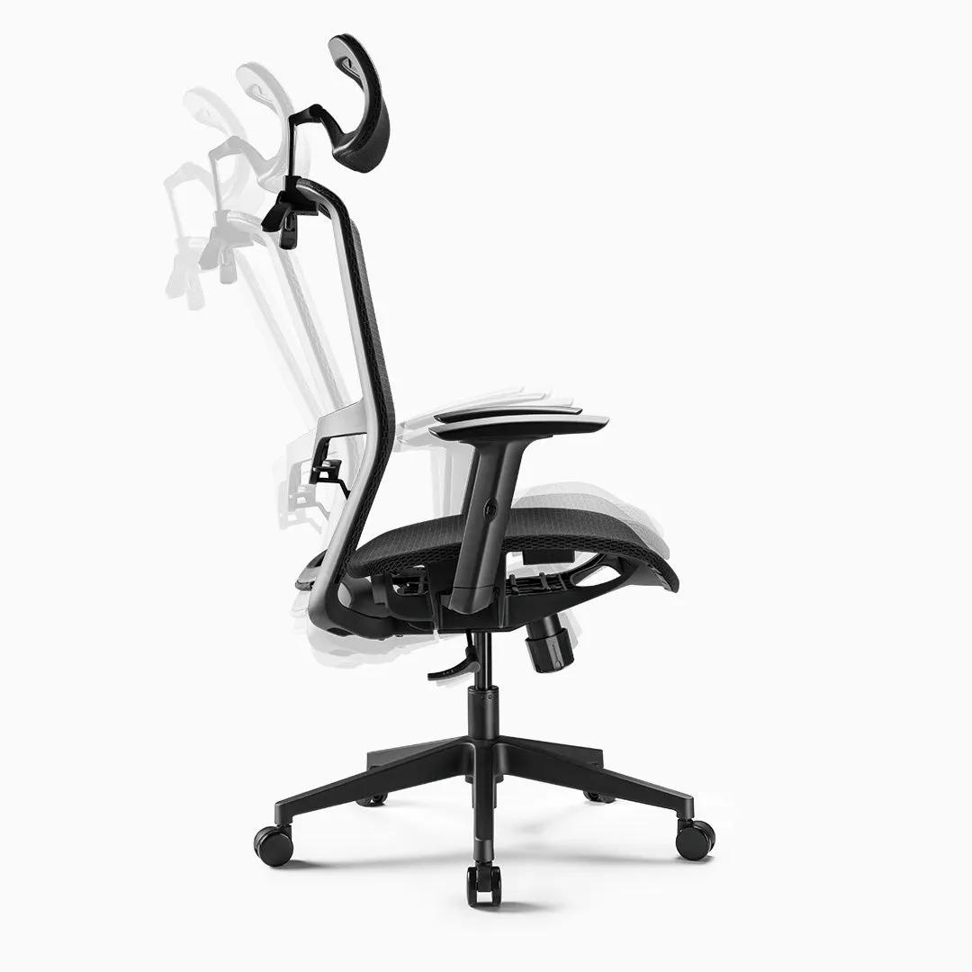 Desky Adjustable High Back Mesh Chair