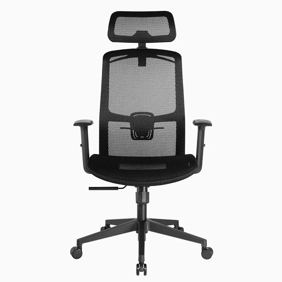 Desky Adjustable High Back Mesh Chair