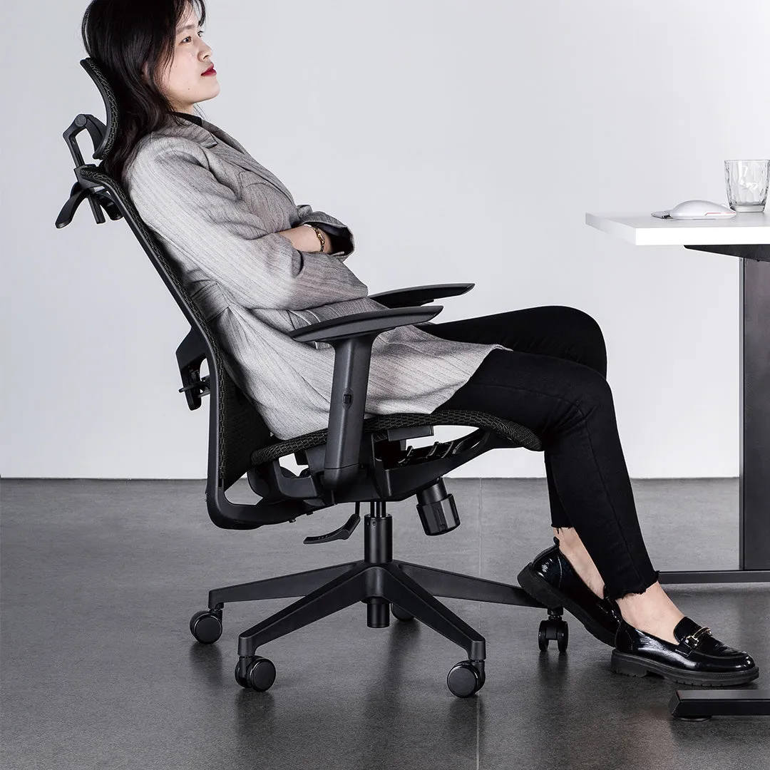 Desky Adjustable High Back Mesh Chair