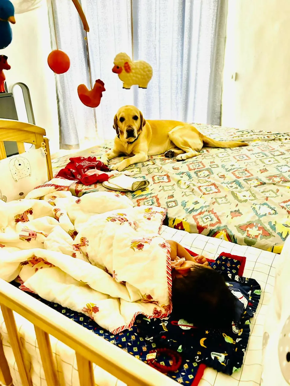 HUNY HUNY Crib/Cot for Baby