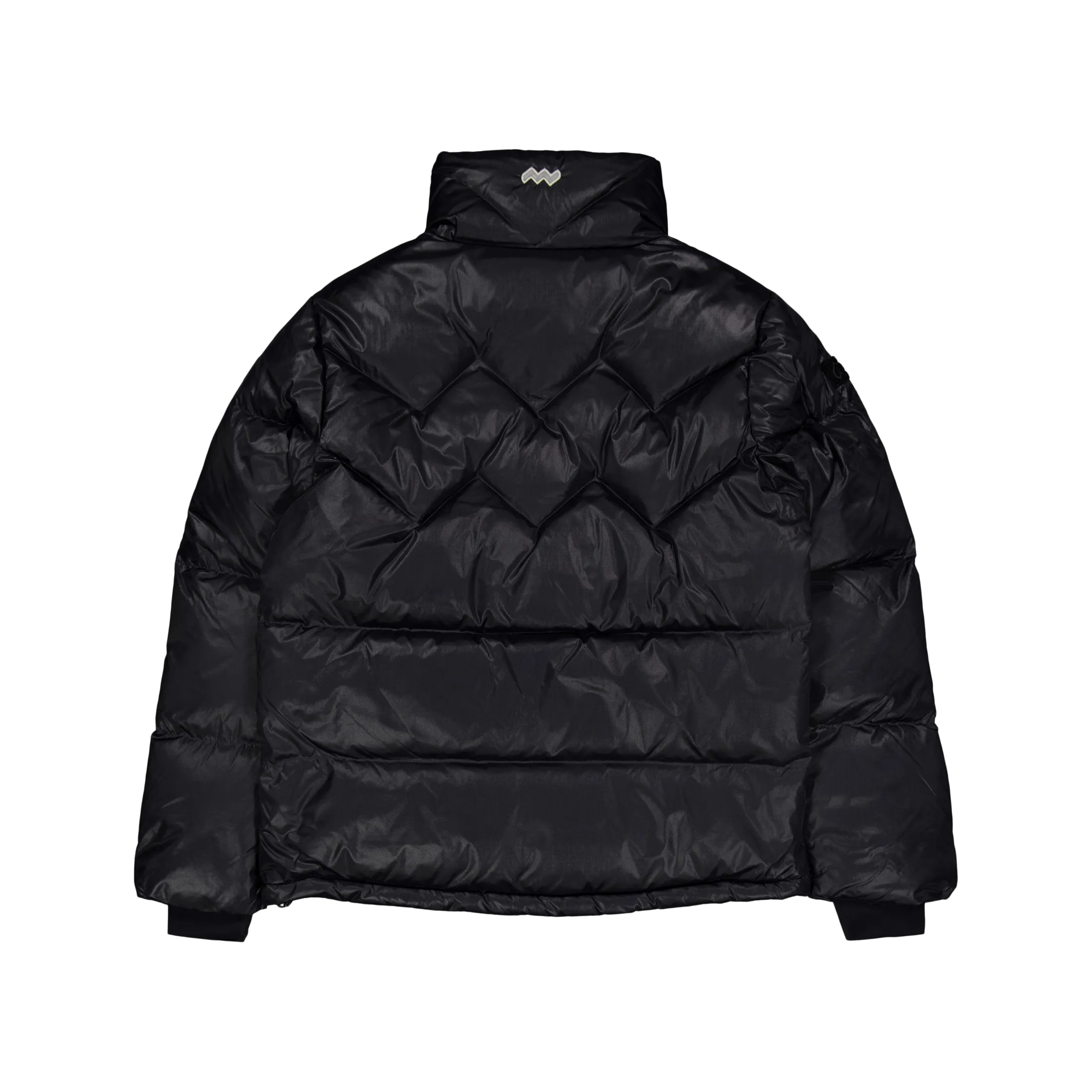 Paragon Down Parka