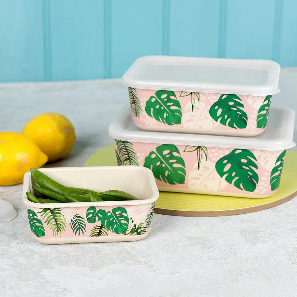 Rex Set of 3 Tropical Palm Bamboo Boxes
